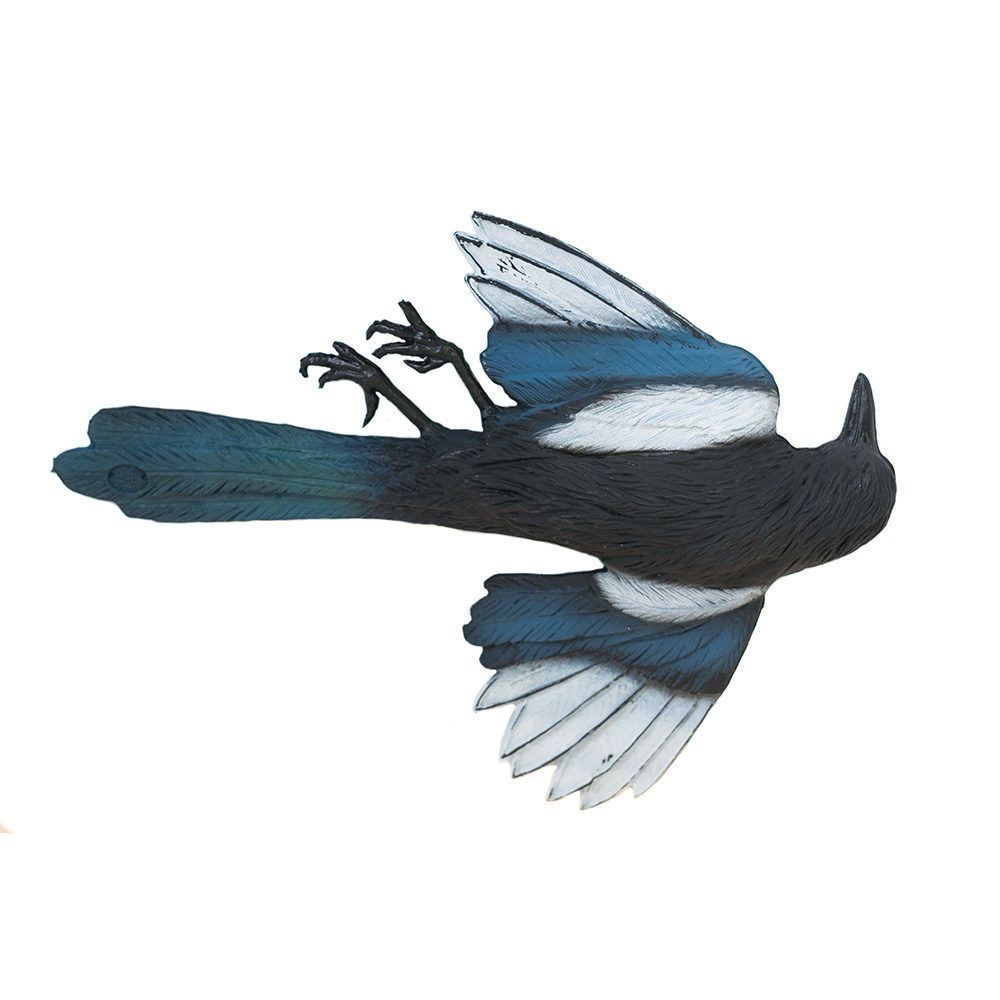 FlattyMagpie - silhouet van een dode ekster - -Dierplagenshop