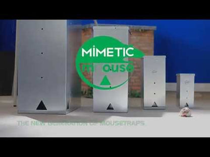 Mimetic-Mhouse