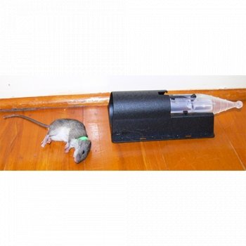 Nooski Mouse Trap - -Dierplagenshop