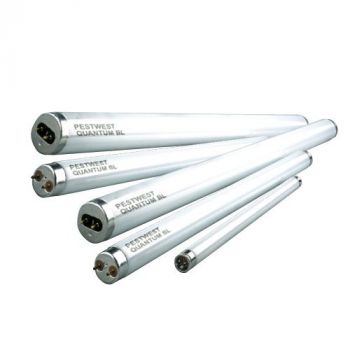 PestWest Quantum Tubes (non shatterproof) - Dierplagenshop