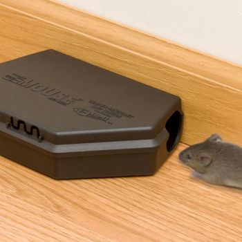 Protecta EVO mouse (doos 12) - -Dierplagenshop