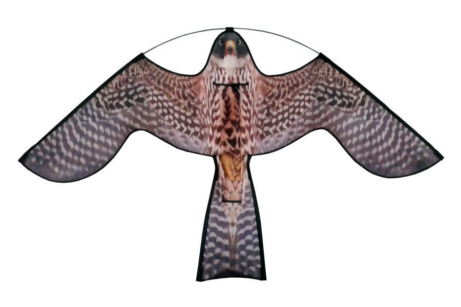 Reserve vlieger Hawk Kite met roofvogelprint - -Dierplagenshop