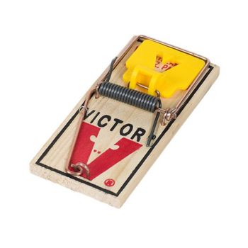 Victor EasySet muizenval - -Dierplagenshop